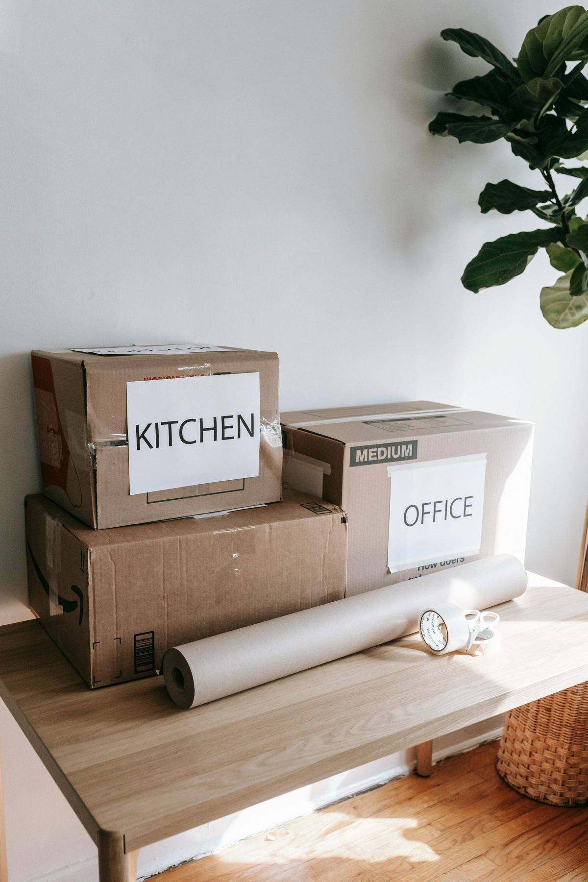 Move In Move Out